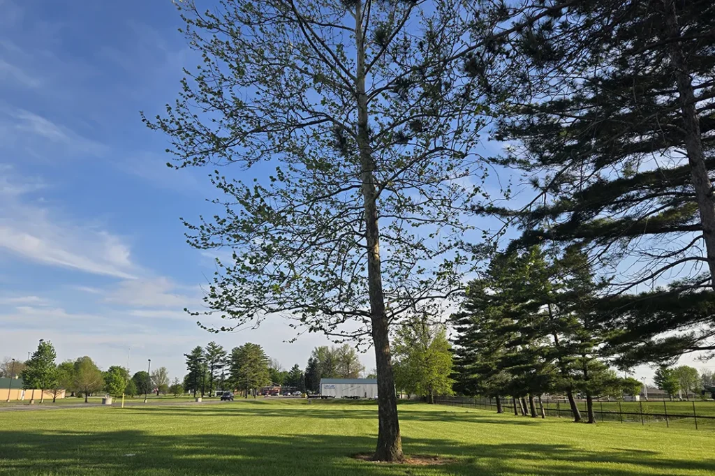 spacetrees